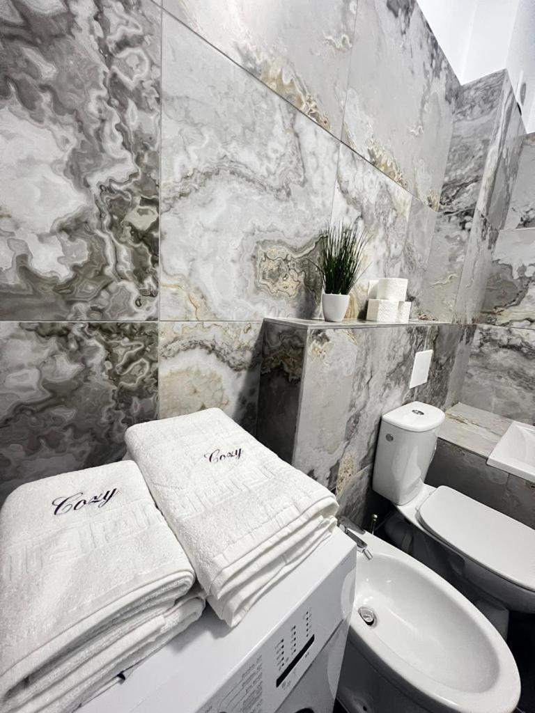 Luxury Cozy Apartments Сучава Екстер'єр фото
