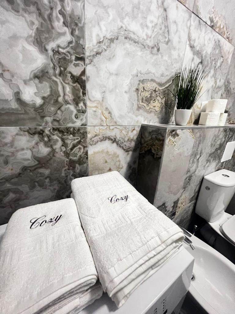 Luxury Cozy Apartments Сучава Екстер'єр фото